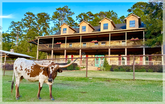 The Wren Family Ranch